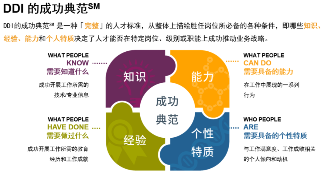 DDI成功典范.png
