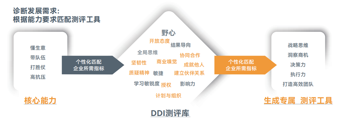 DDI测评库.png